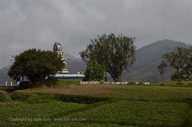 On Road-Route Ooty to Coonoor_DSC5274_H600